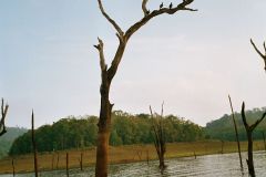Im Periyar Wildlife Reservoir