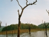 814409image003
